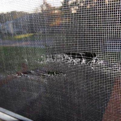 torn window screen